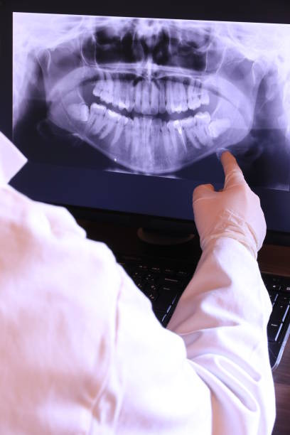 Best Emergency X-Rays and Diagnostics in North Eastham, MA