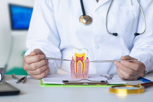 Best Emergency Root Canal Therapy in North Eastham, MA